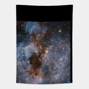 Stellar Nursery N159 Stars Galaxy Nebula Space Tapestry