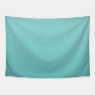 Light Aqua Blue Ombre Fade Sunset Gradient Tapestry