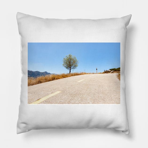 Road through Coll de rates uphill into mountains Pillow by brians101