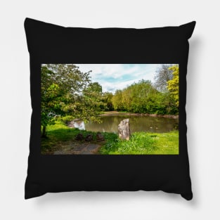 East Ilsley Village Pond Pillow