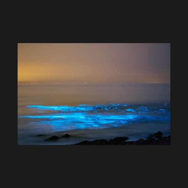 Bioluminescent plankton, Port Eynon Bay, Gower by dasantillo