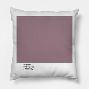 pantone 17-1605 TCX Elderberry Pillow