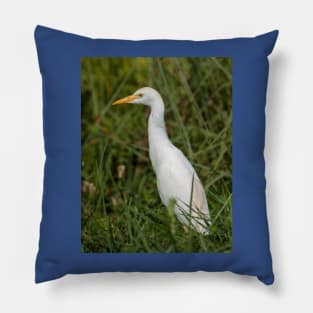 Snowy egret Pillow