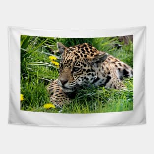 Cub Tapestry