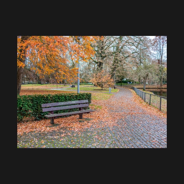 Empty bench in public park in autumn by yackers1