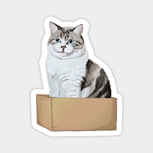 Box Kitty Magnet