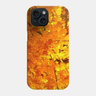 Beautiful golden maple leaves Phone Case