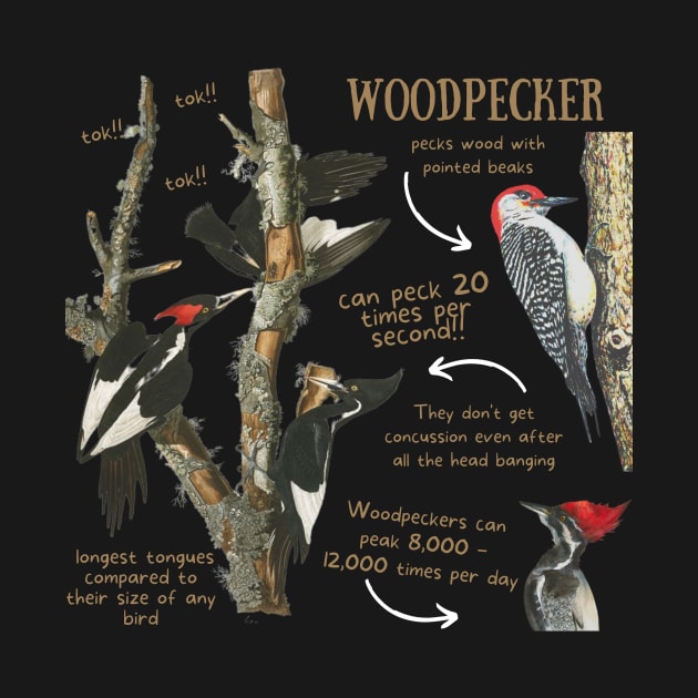 Animal Facts - Woodpecker by Animal Facts and Trivias