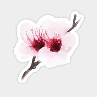 Watercolor Cherry Blossom Magnet