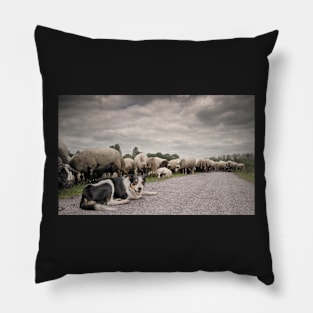 Sheepdog Pillow