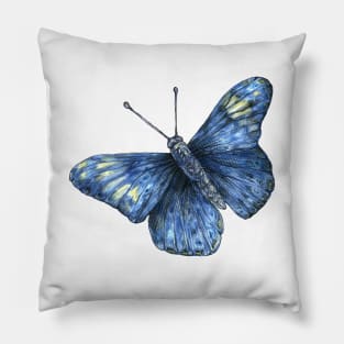 blue butterfly Pillow