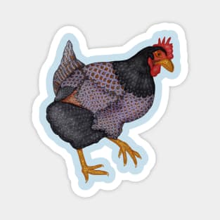Funky Chicken Magnet