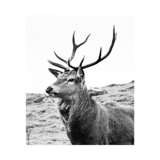 The Highland Stag T-Shirt