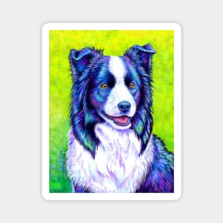 Watchful Eye Colorful Border Collie Dog Magnet