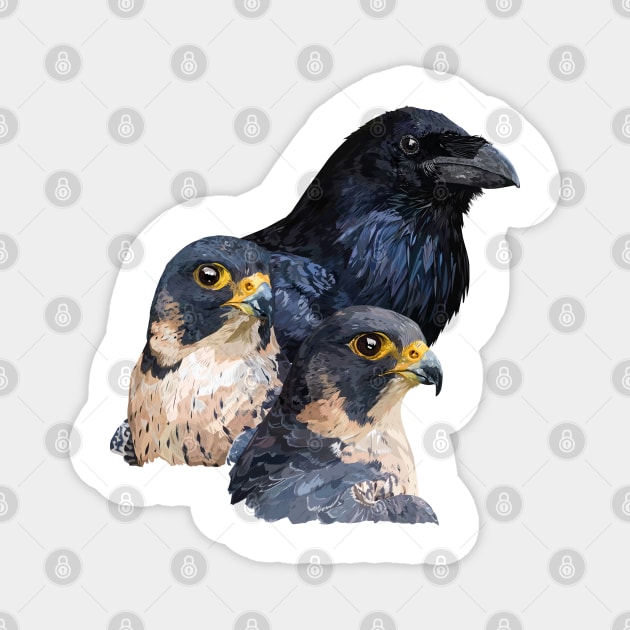 Raven and Falcons Magnet by obscurite