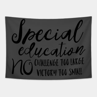 Special Education Teacher Tapestry
