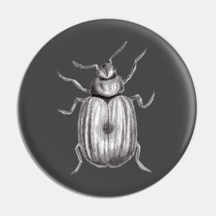 Realistic Beetle Bug Pencil Drawing Pin