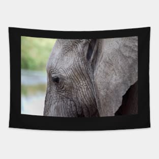 Portrait, African Elephant, Serengeti National Park, Tanzania. Tapestry