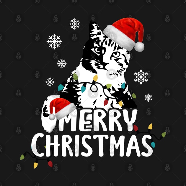 Cute Cat Santa Claus Merry Christmas by dnlribeiro88