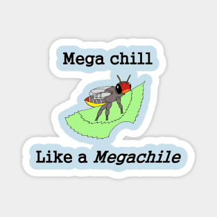 Mega chill as a Megachile Magnet