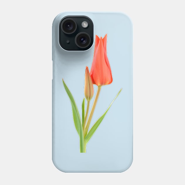 Tulipa praestans 'Van Tubergen's Variety' Miscellaneous tulip Phone Case by chrisburrows