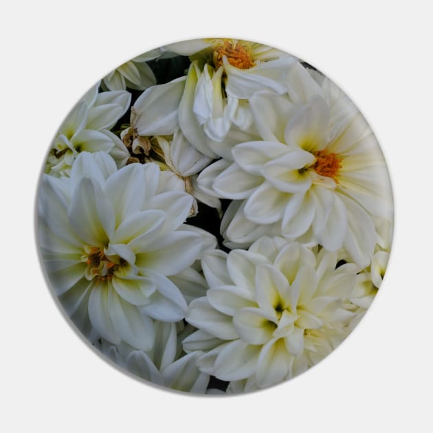 White Flower Bunch Photography My Pin by ShubShank