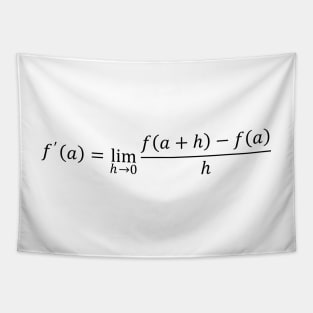 Definition Of Derivative - Math And Calculus Tapestry