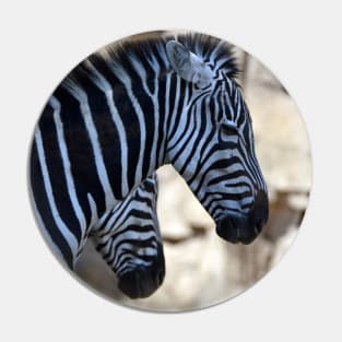 Grants Zebras Pin