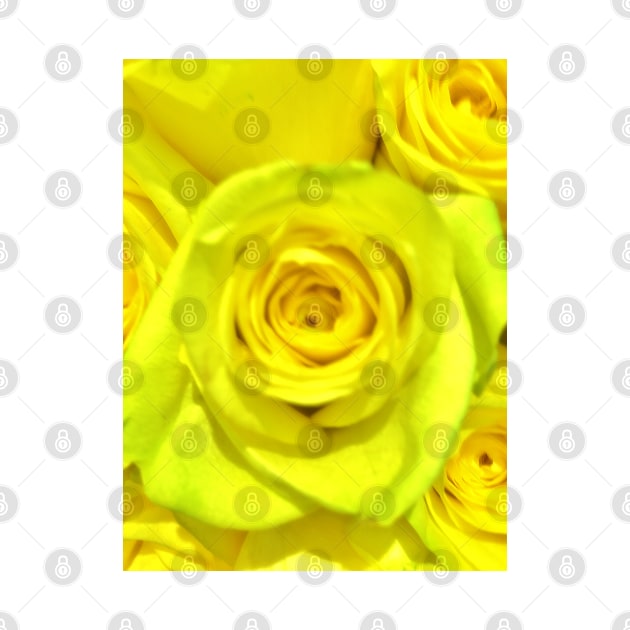 Gift for a Friend, Yellow Rose Floral Display The flower of Friendship - Autumn Bouquet - Flowers by Ric1926