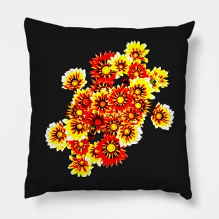 Gazanias in Red and Yellow Transparent Background Pillow