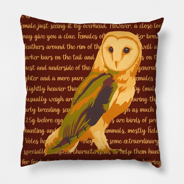 Barn Owl Information Pillow by Slightly Unhinged