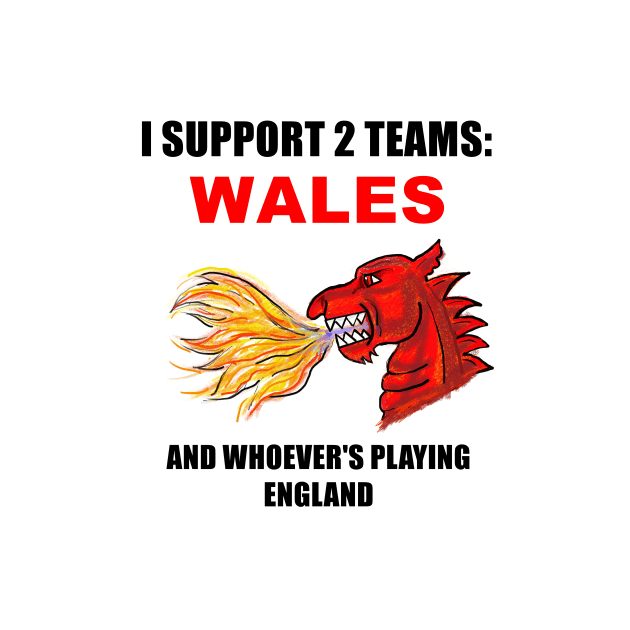 I SUPPORT 2 TEAMS WALES by MarniD9