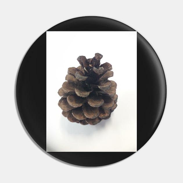 Pinecone Pin by diffrances