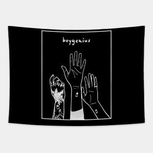 boygenius Tapestry