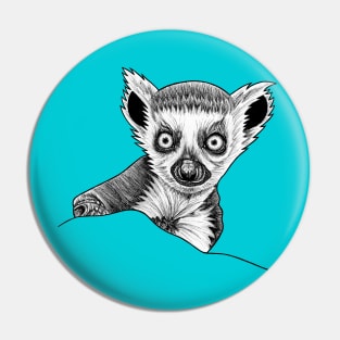 Baby ring tailed lemur Pin