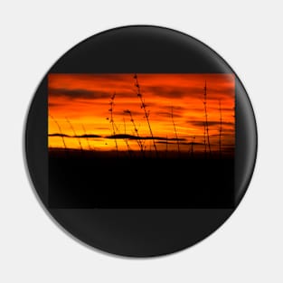 Winter Soltace Sunset Pin