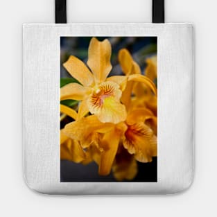 Yellow Orchid Flower Flowering Plant Tote