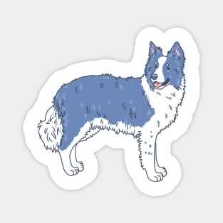 Border Collie Magnet