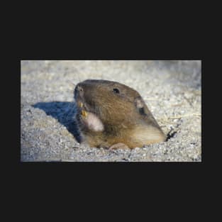 Pocket gopher T-Shirt