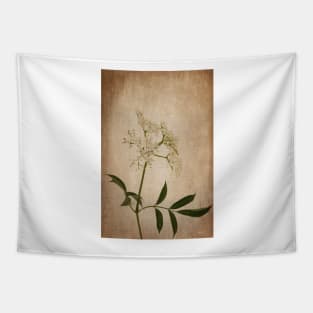 Wild Elderberry Flowers Tapestry