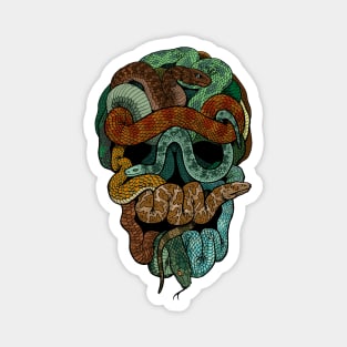 Snake Skull (Rust) Magnet