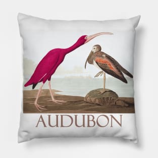 Scarlet Ibis by John James Audubon Pillow