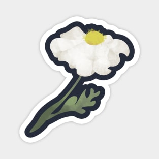 Matilija Poppy Magnet