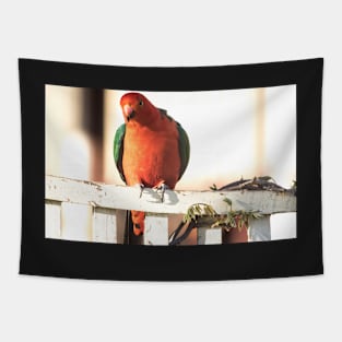 King Parrot 3 Tapestry