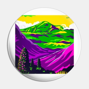 Haleakala Volcano in Maui Pin