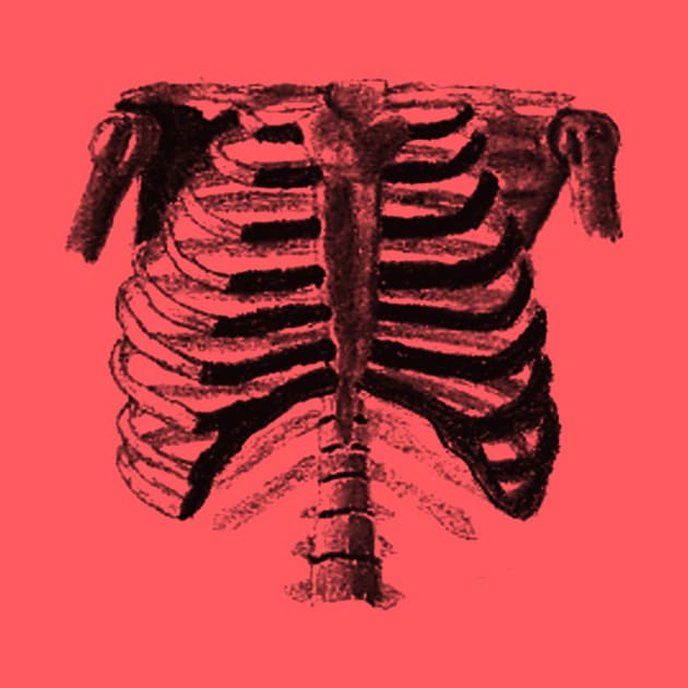 Ribcage by Superlust