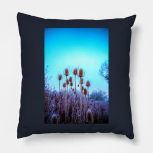 Teasel Heads In the Frost Pillow