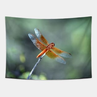 Flame Skimmer Dragonfly Tapestry