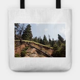 Journey Through Manitou Tote