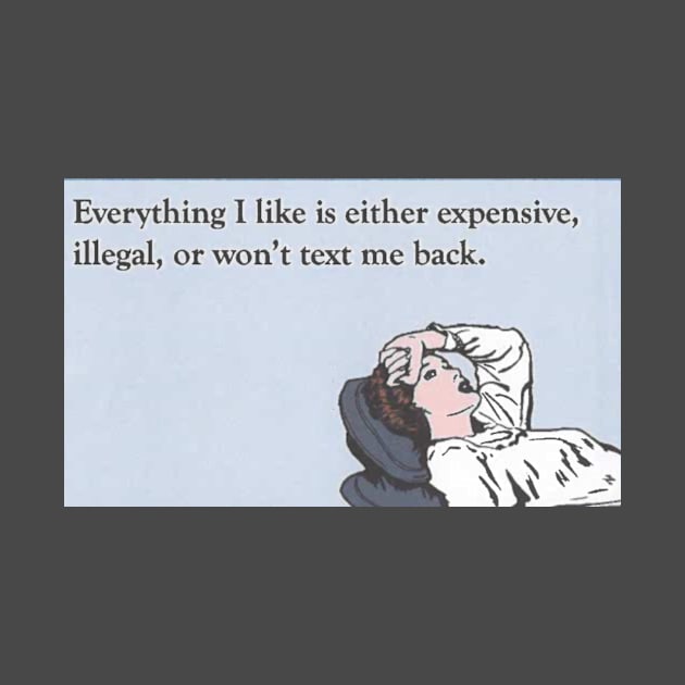 "Everything I Like Is Either Expensive, Illegal, Or Won't Call Me Back" - The Ultimate Dilemma Gifts Galore! by My Dad's Still Punk